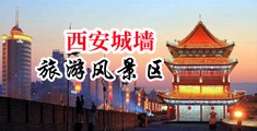 啊～嗯～我下水好多水网站中国陕西-西安城墙旅游风景区